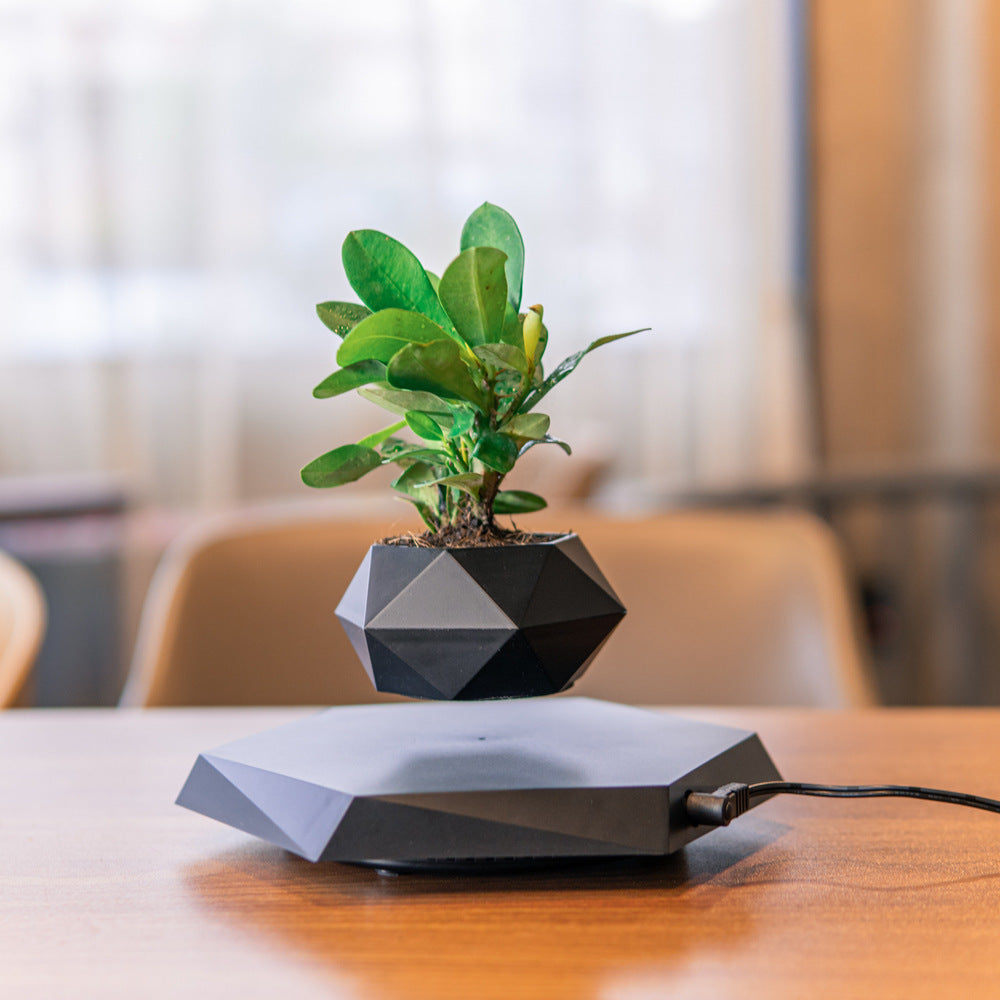 Floating Magnetic Levitating Flower Pot Decor