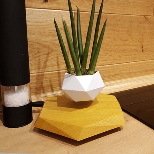 Floating Magnetic Levitating Flower Pot Decor