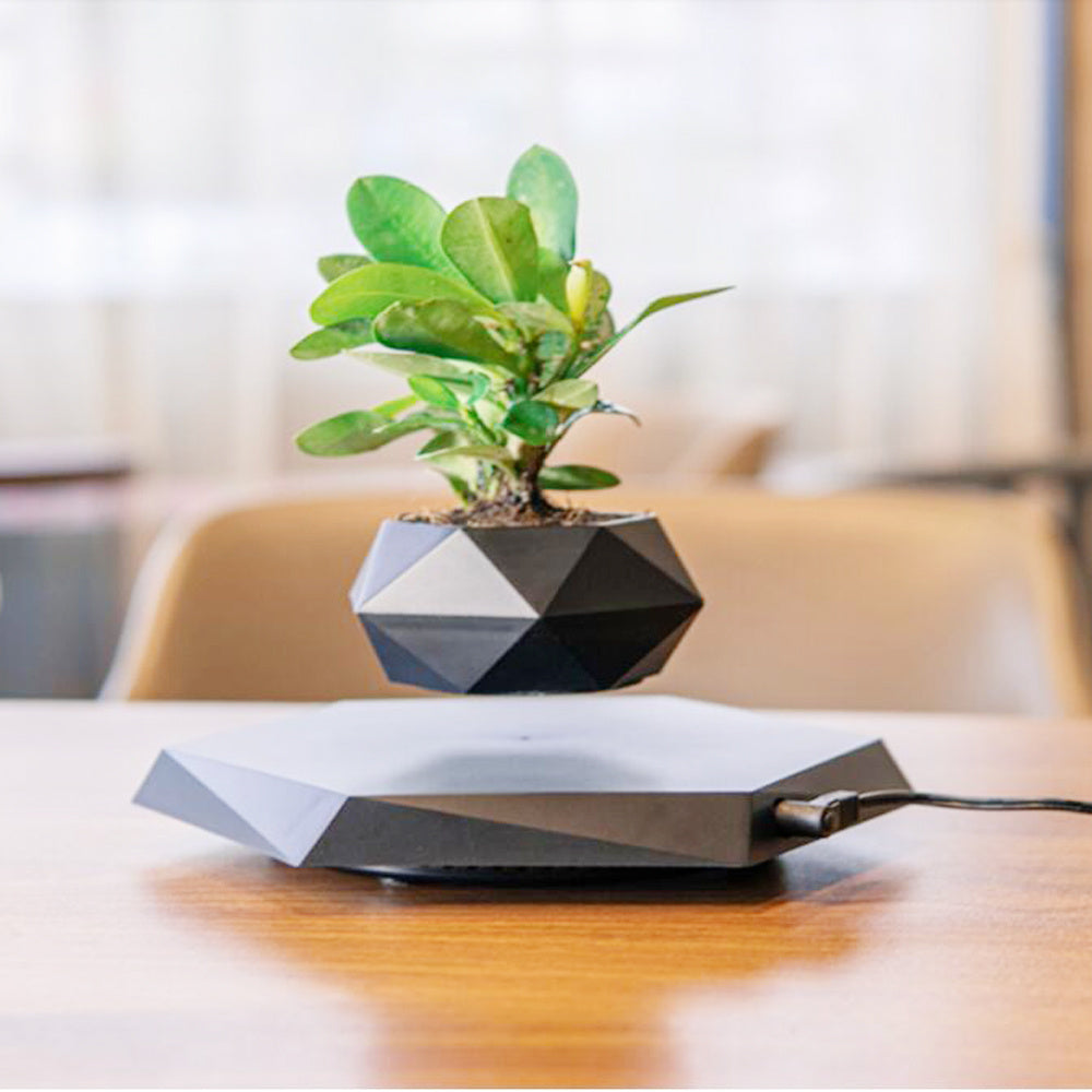 Floating Magnetic Levitating Flower Pot Decor