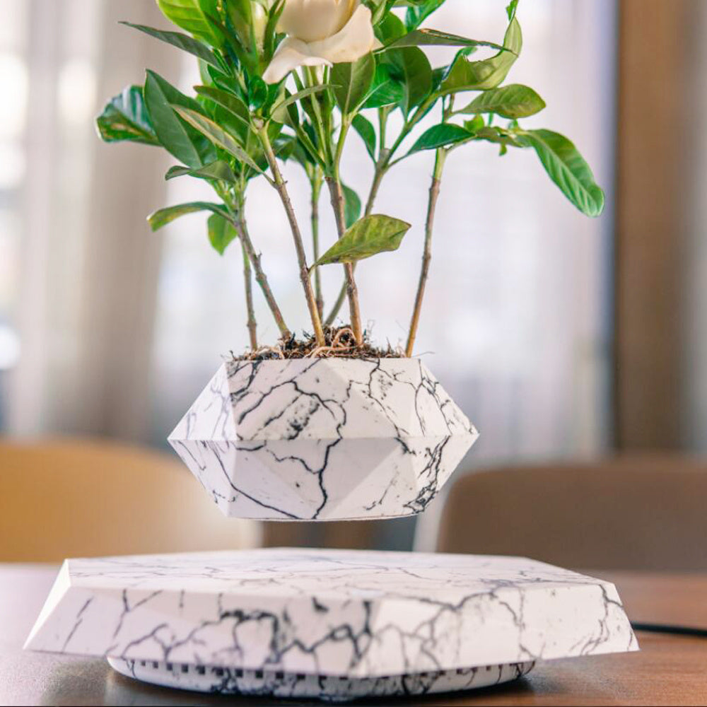 Floating Magnetic Levitating Flower Pot Decor