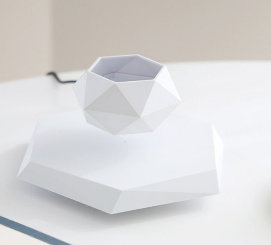 Floating Magnetic Levitating Flower Pot Decor